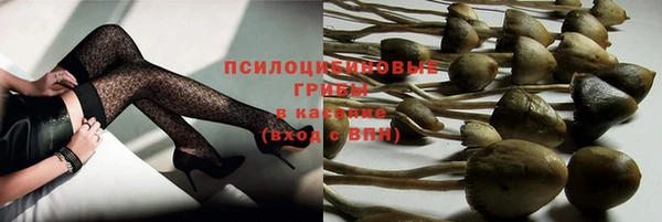 бутират Мегион
