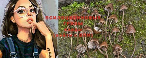 эйфоретик Медногорск