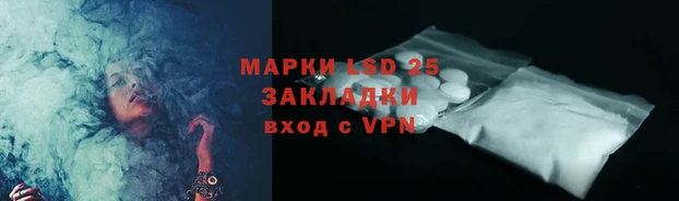 ПСИЛОЦИБИНОВЫЕ ГРИБЫ Абаза