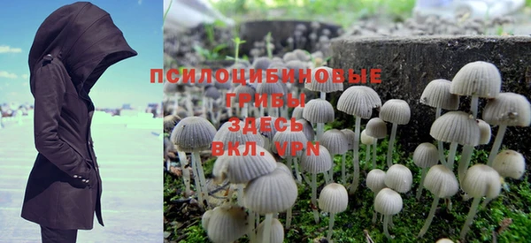 амф Абинск