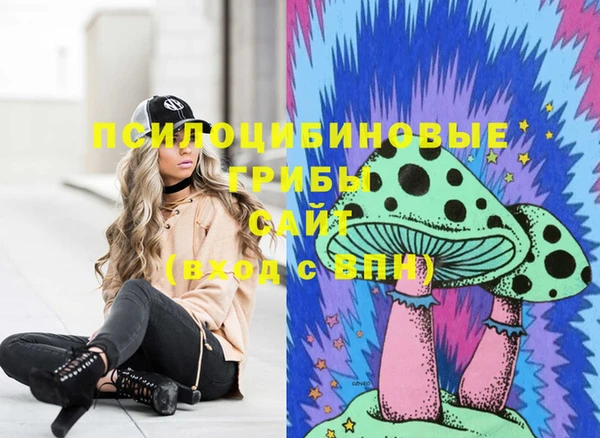 ПСИЛОЦИБИНОВЫЕ ГРИБЫ Абаза