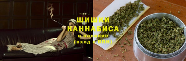 ПСИЛОЦИБИНОВЫЕ ГРИБЫ Абаза